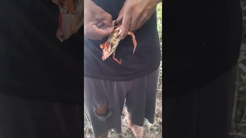 aventura firme riu maguari