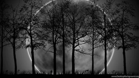 Dark Angel Interesting: December 10 2020 1er Video en Español