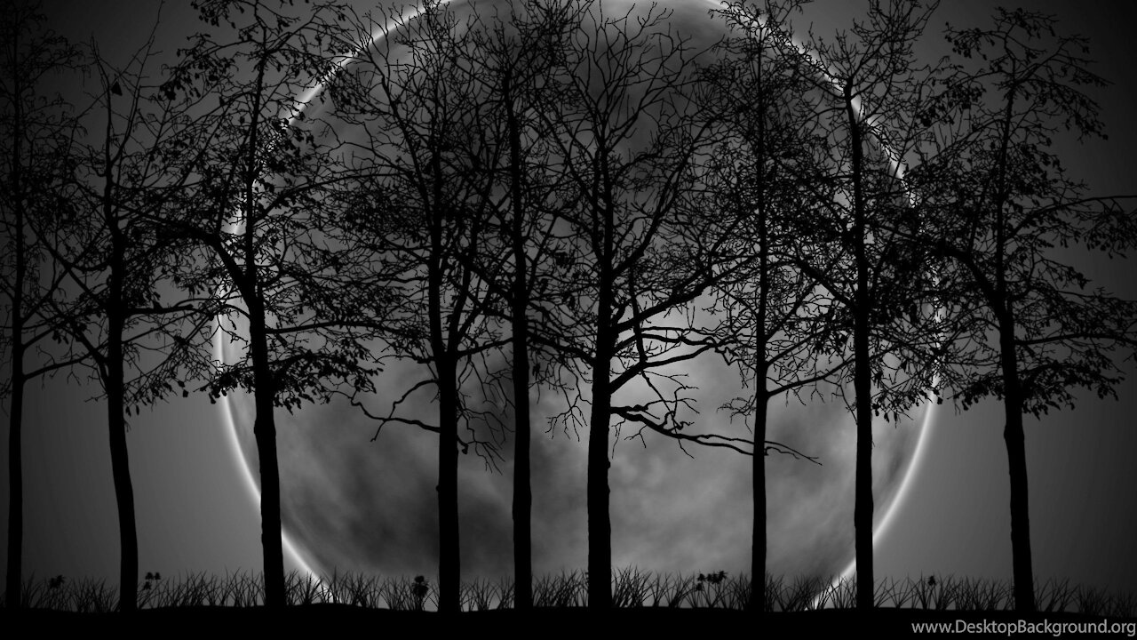 Dark Angel Interesting: December 10 2020 1er Video en Español