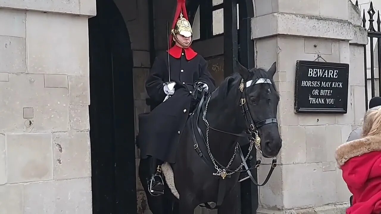 The Horse moves The tourist screams #horseguardsparade