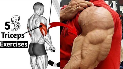 5 Most Effective Triceps Exercises || S7S GYM