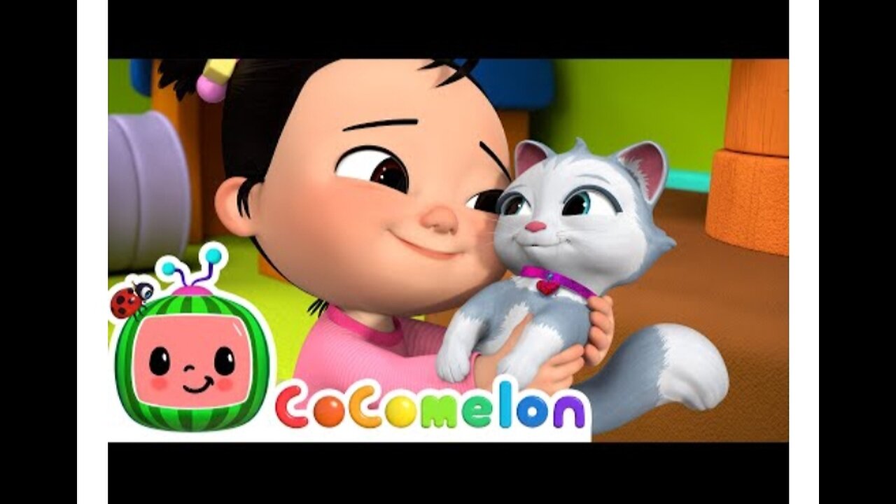 Cece Had a Little Cat | CoComelon Nursery Rhymes & Kids Songs