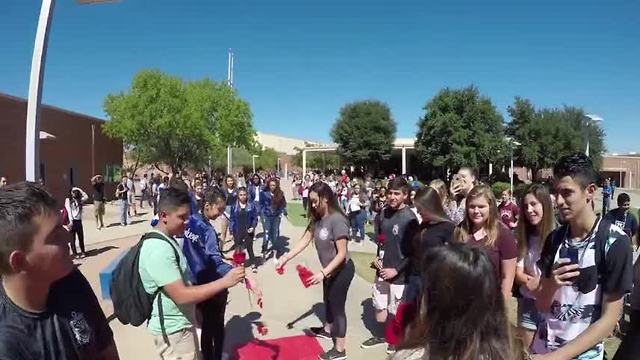 Student's flashy homecoming proposal