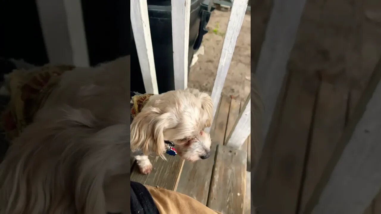 He did the work.