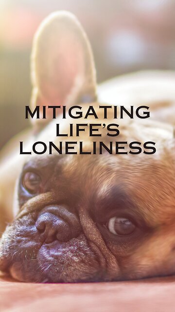 Loneliness No More: A Comprehensive Approach