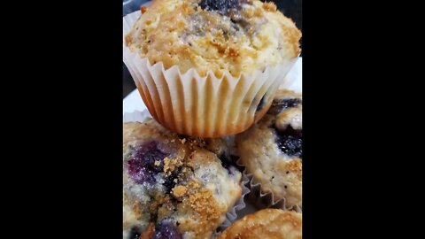 BlueBerryMuffins