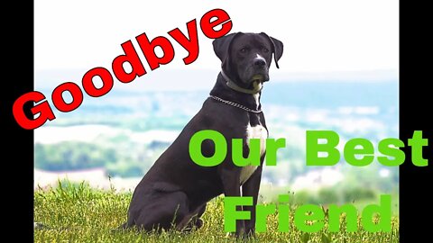 Saying Goodbye To Our Dog (Samson)