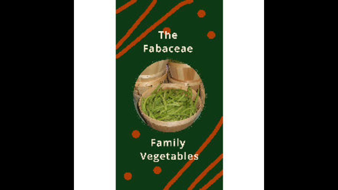 The Fabaceae Family Vegetables