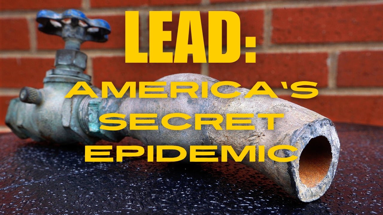 Lead: America's Secret Epidemic