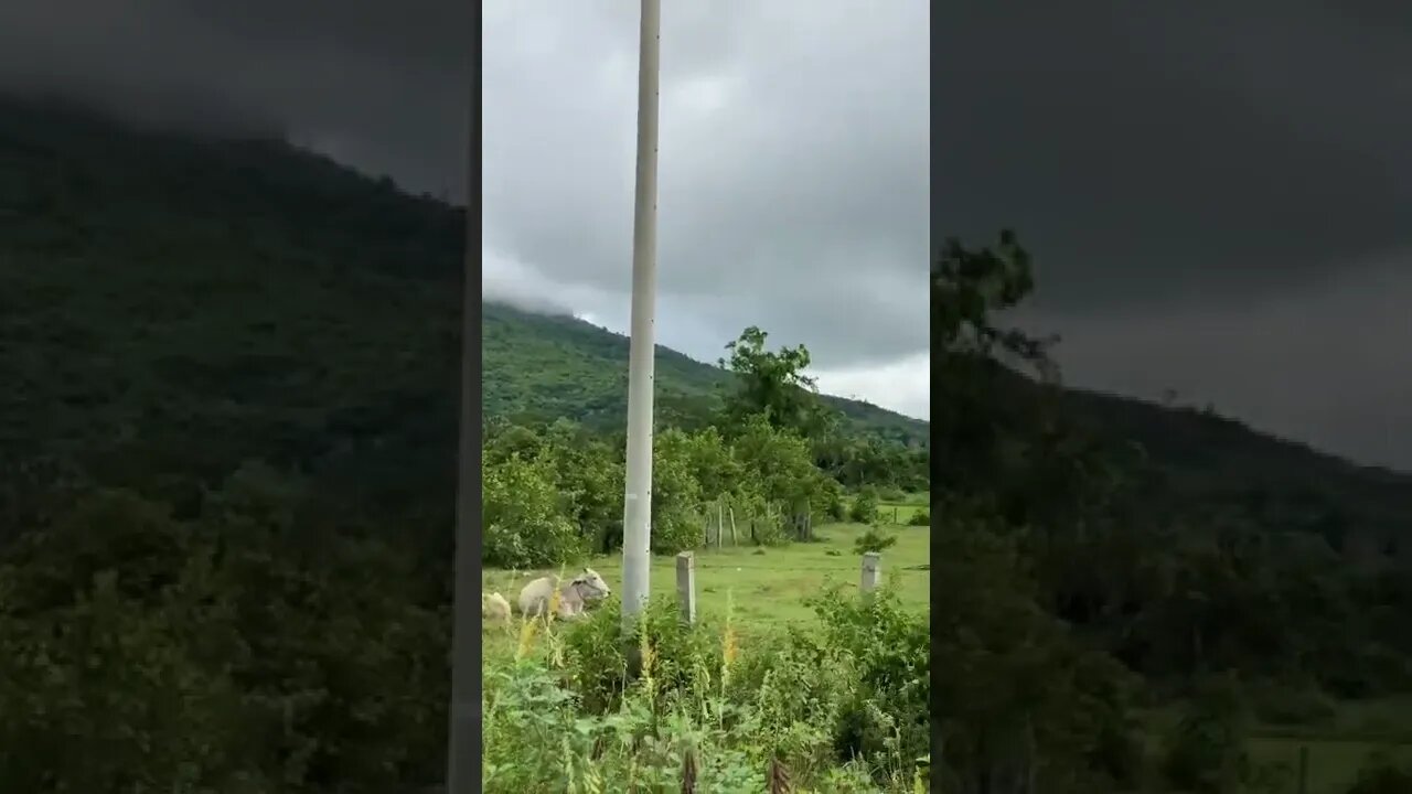 Kulen National Park Morning View