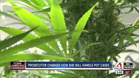 JaxCo prosecutor announces new marijuana policy