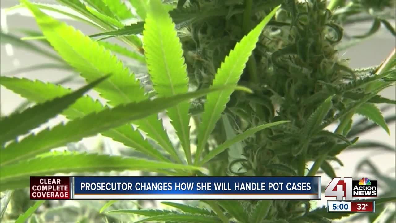 JaxCo prosecutor announces new marijuana policy