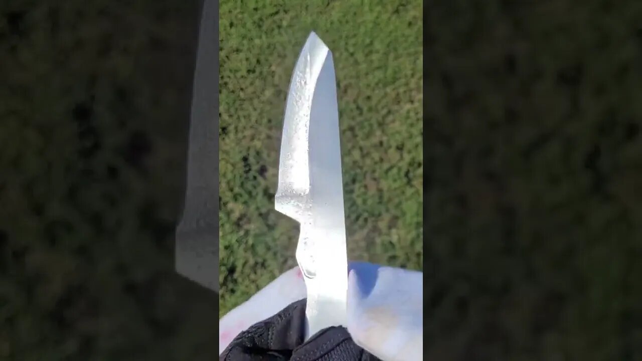 Knife cleaning doesn't look better than this! #shedknives #shorts