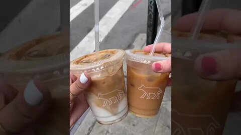 NYC Vlog tiktok laila elnaggar