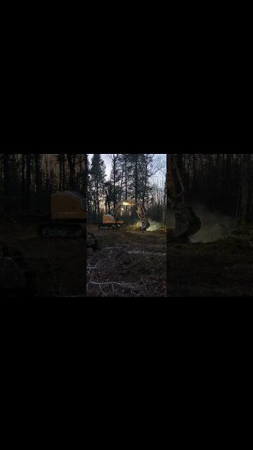 Starting to level land for cottage and Septic System.