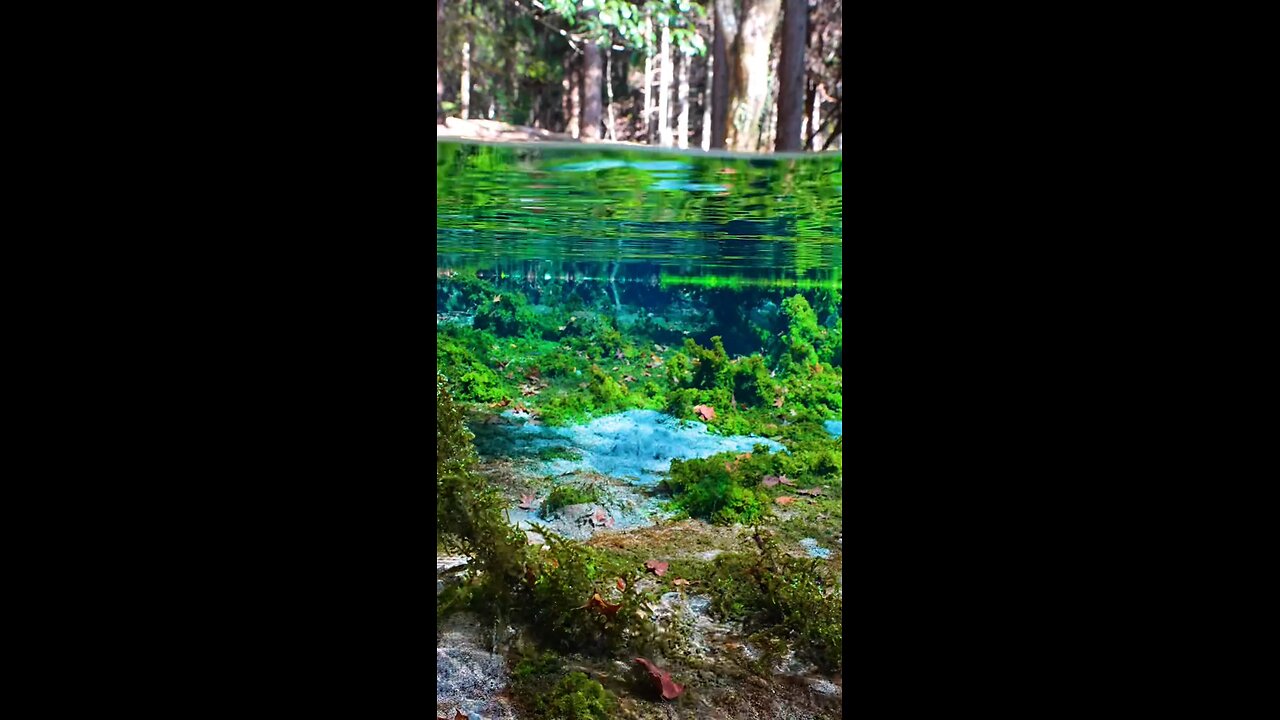 Nature aquarium