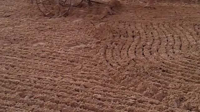 Little Boy Does A Great Job Plowing The Field