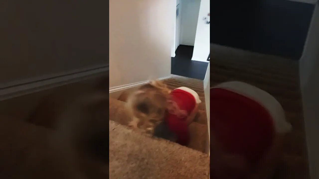 Slide!
