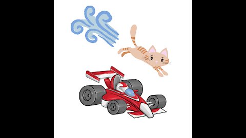 Cat at Formula One Car Speed