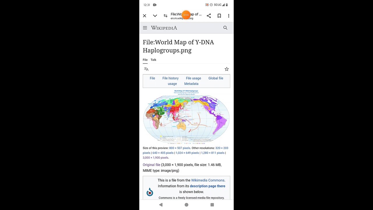 Paternal Y DNA haplogroups information #Ydna