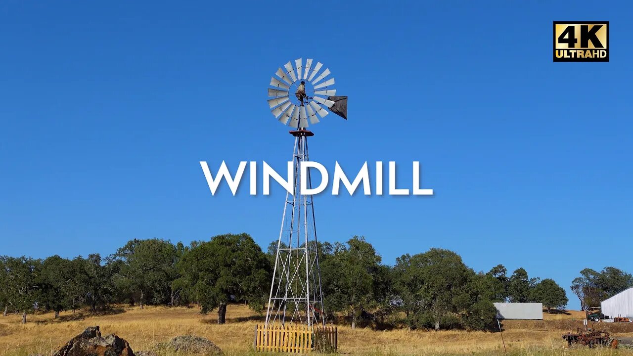 Mesmerizing 4K Farm Windmill in the Gentle Breeze | Relaxing Birdsong & Repetitive Sounds