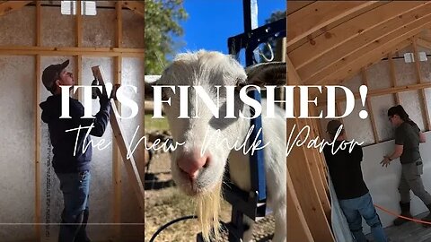 Finishing Out The Goat Milking Parlor | Three Little Goats Homestead Vlog