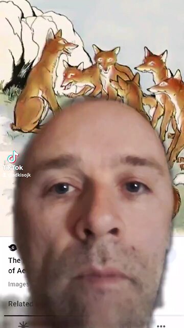 Fox Who Lost His Tail