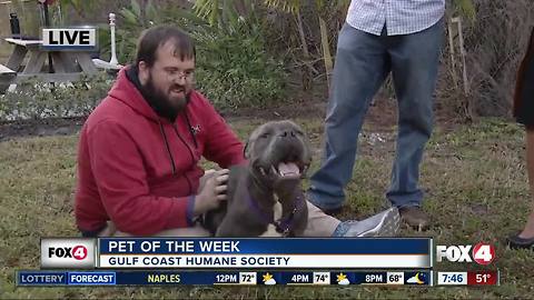 Gulf Coast Humane Society 'Yappy Hour"