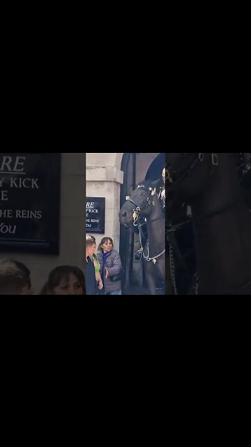 Get back not come back #horseguardsparade