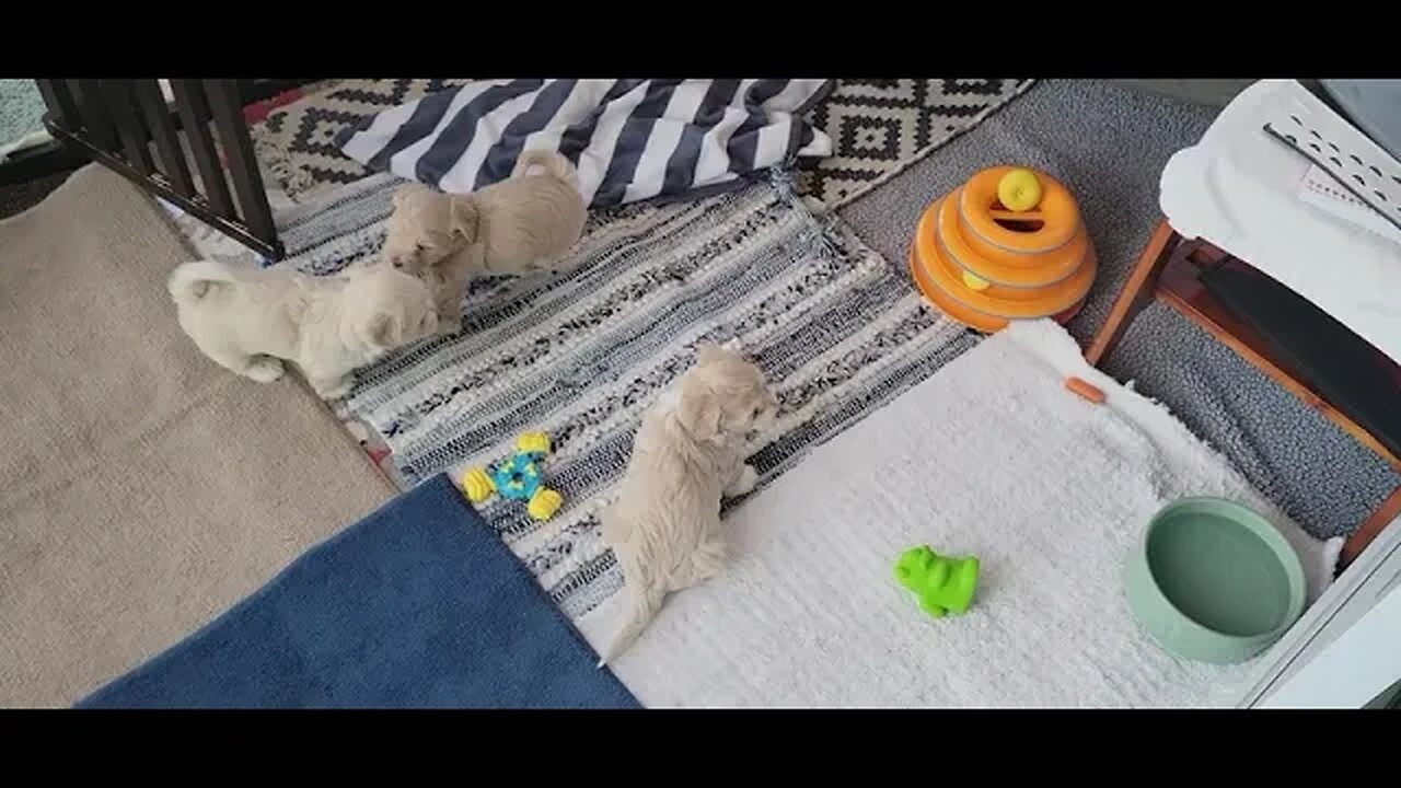 T & V - Growing So Fast! (3)