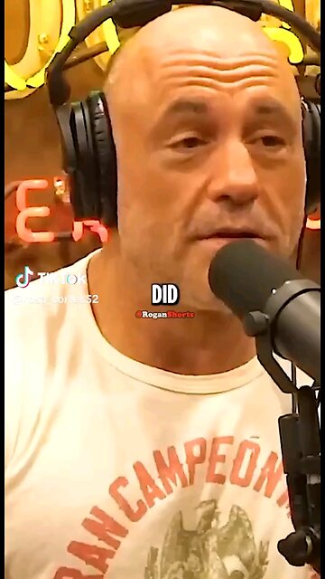 Sammy the Bull is witness to Donald Trump's honesty!