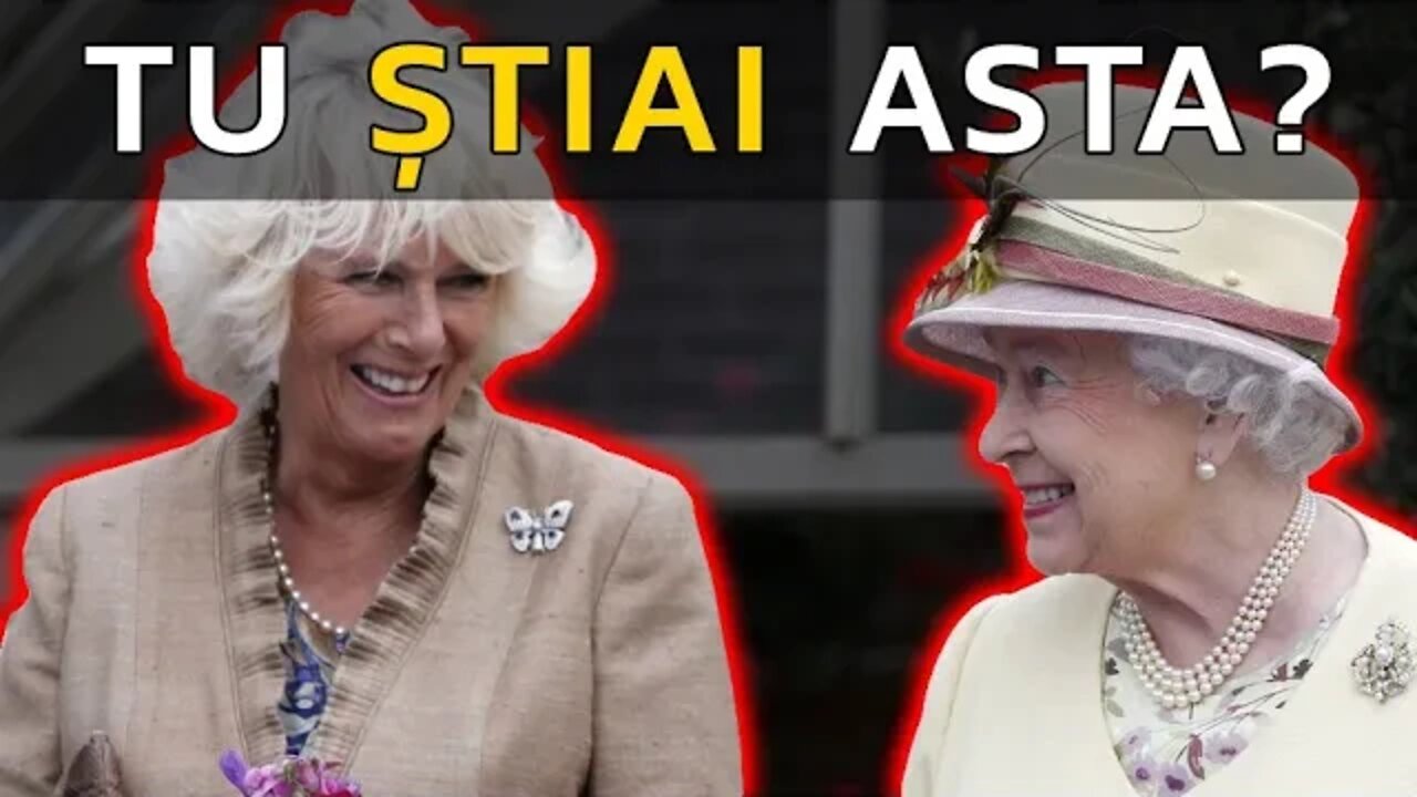 REGINA ERA MEREU VÂNATĂ