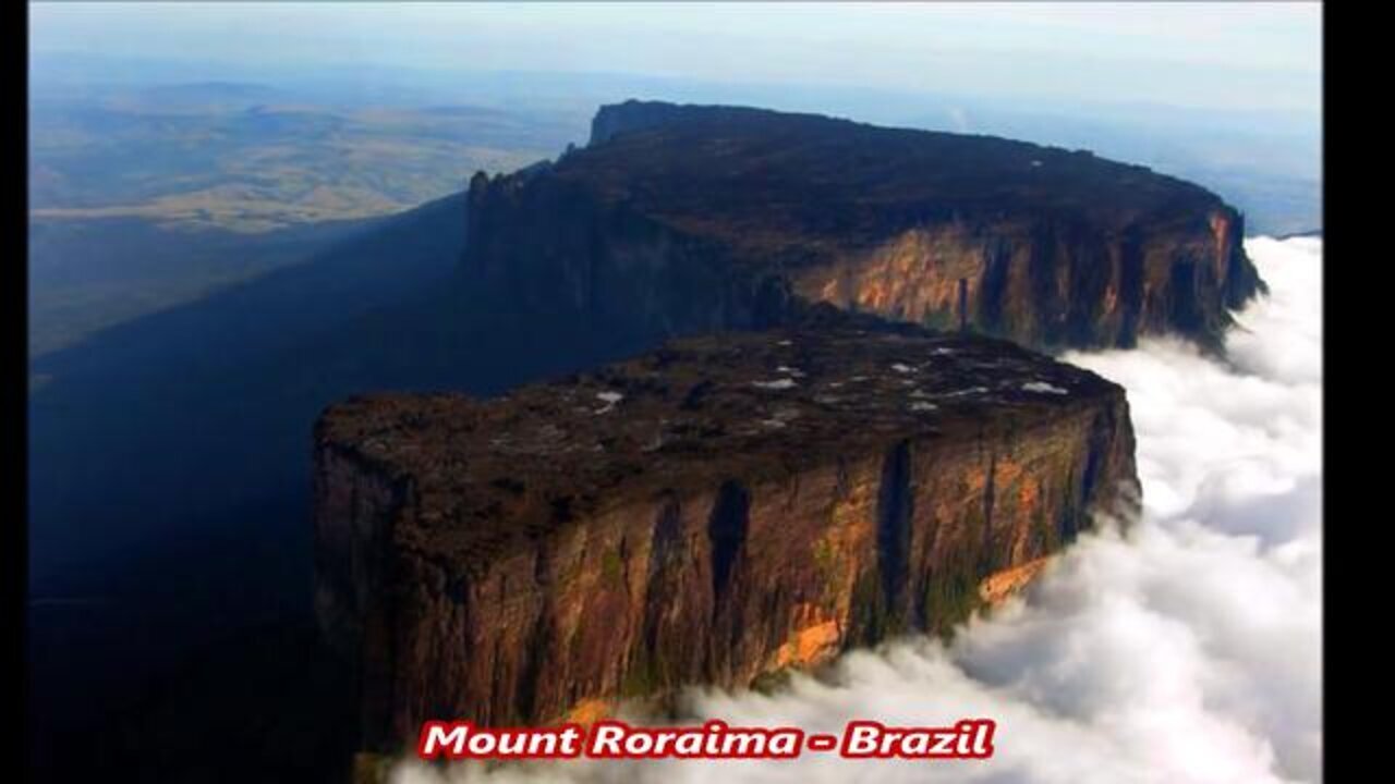 Ancient Giant Petrified Tree Stumps Around The World - Giant Skeletons