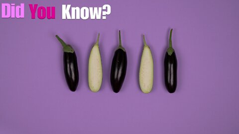 Did You Know? Classification Of Eggplant || FACTS || TRIVIA