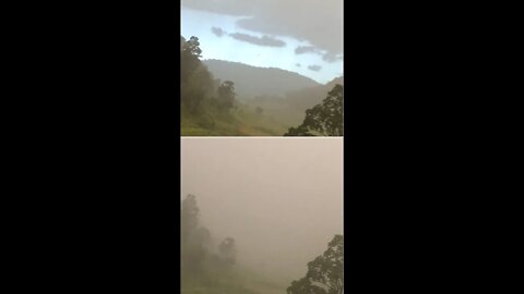 Summer afternoon storm - 21mm hail/rain in 30 minutes - Australia. Guinea fowl keets are fine Laural