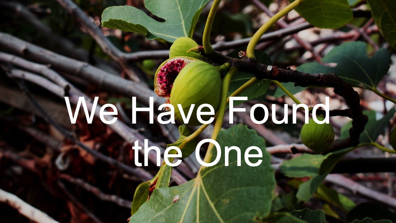 We Have Found the One - John 1:43-51 - 2nd Sunday after Epiphany Worship January 17, 2021
