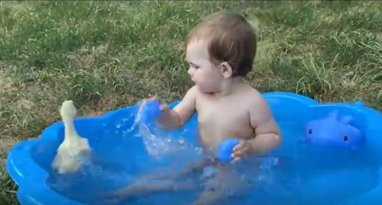 Funny Baby Reaction to Duckling in the Pool