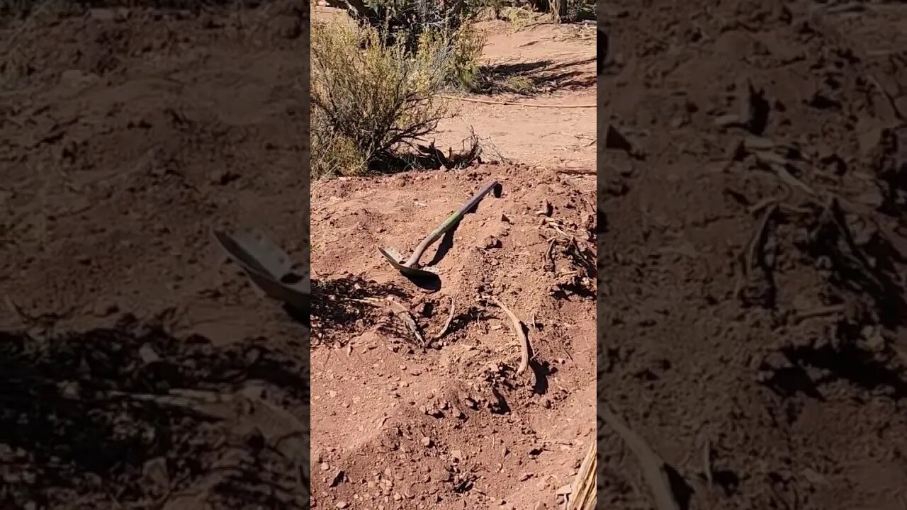 Gardening in the high desert of Arizona!