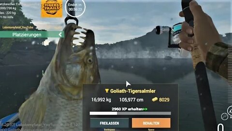 Fishing Planet Folge 463 Tiger Trials Wettbewerb Teil 1