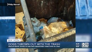 Valley man finds dogs in trash by Walmart