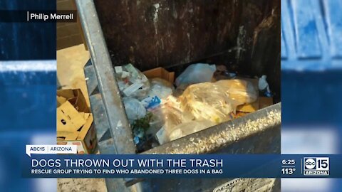 Valley man finds dogs in trash by Walmart