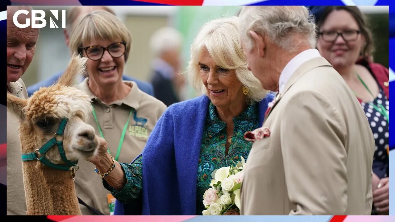 King Charles and Queen Camilla make friends with an adorable alpaca | Cameron Walker reports