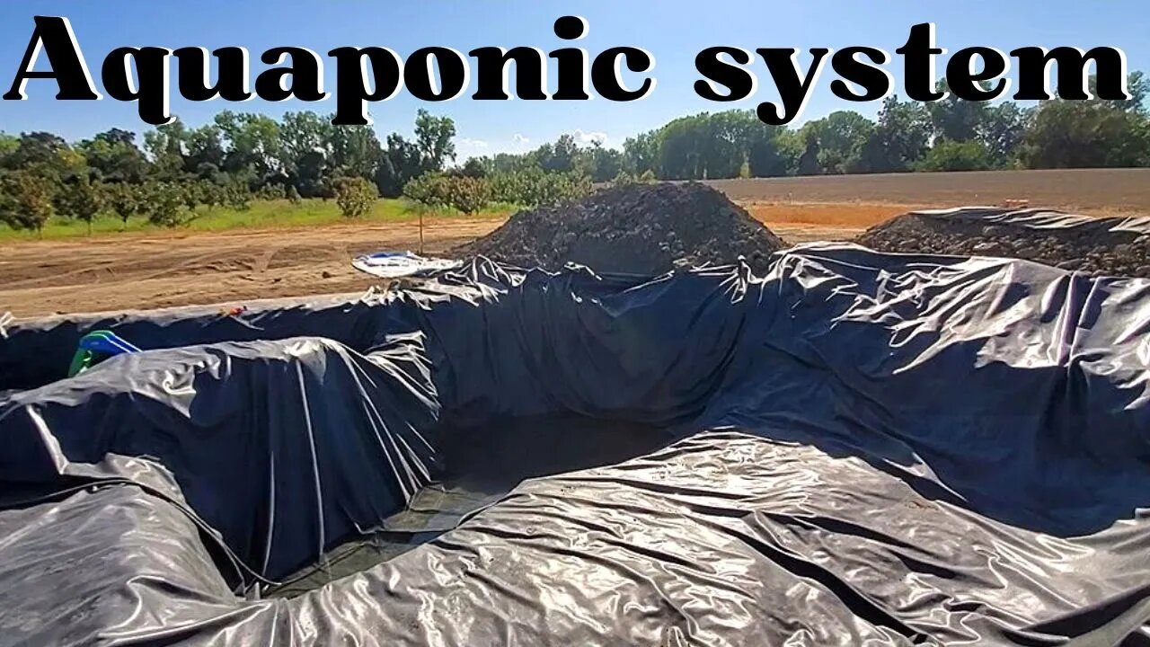 Big aquaponics system over 100,000 gallons (duckponic aquaponics system)