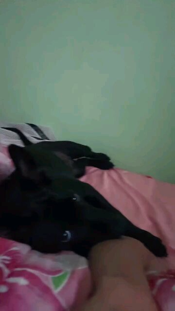 Farmer Female Model Life😍