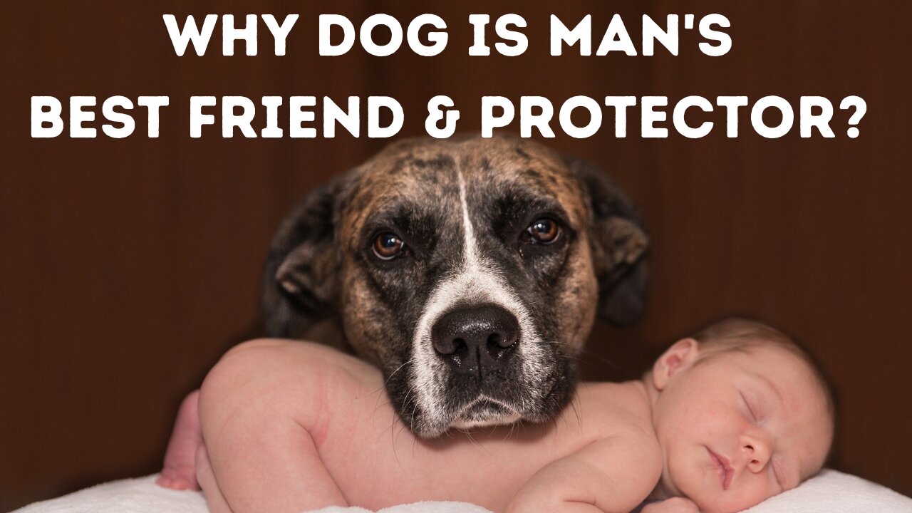 Best Dog Quotes -Dogs are Man's Best Friend in this World.