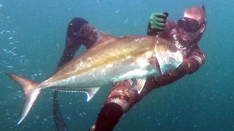 FISH Tried to MURDER ME! Spear Fishing Gone Wrong - Cobia, Amber Jack, Spade Fish Catch & Cook