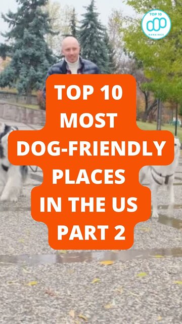 Top 10 Most Dog-Friendly Places in the US Part 2