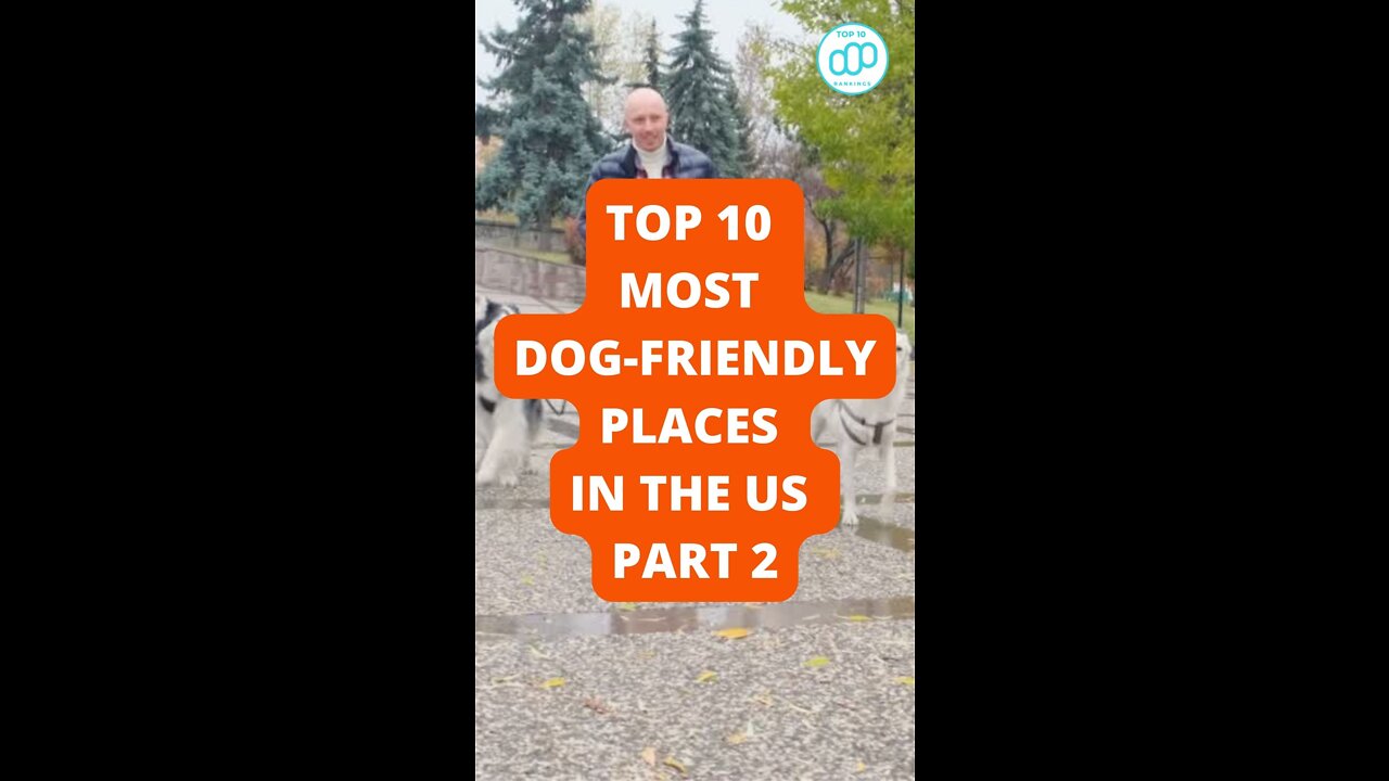 Top 10 Most Dog-Friendly Places in the US Part 2
