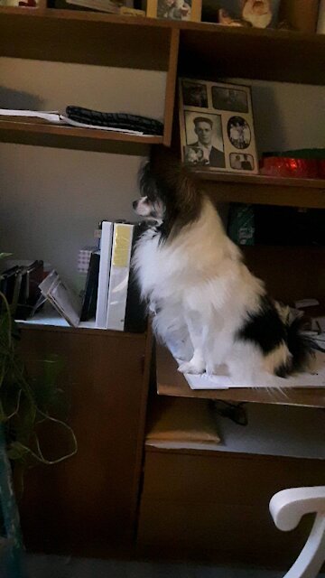 DANNY ,still keeping watch