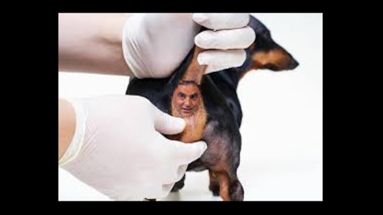 Cenk Uygur Looks Like A Dog's Butthole